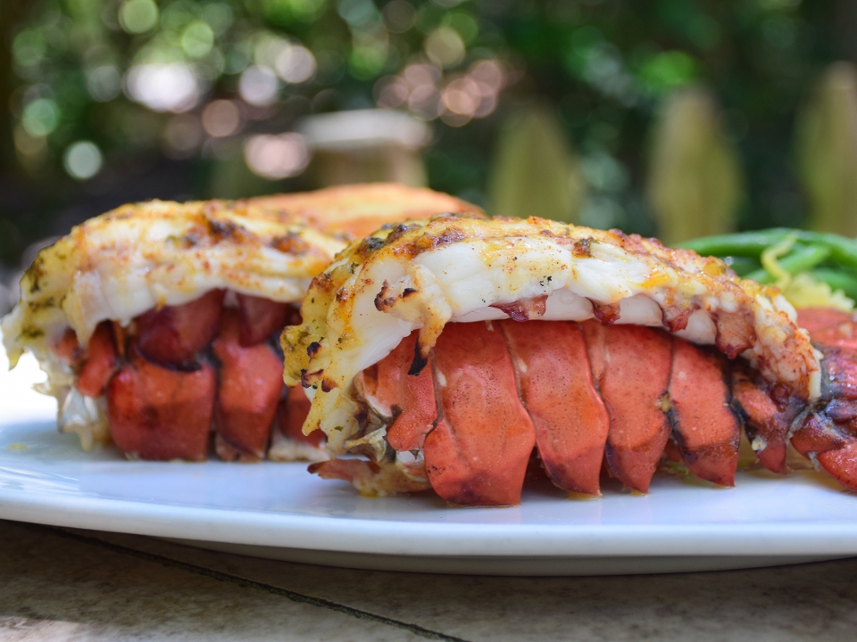 Lazy Lobster Longboat Key