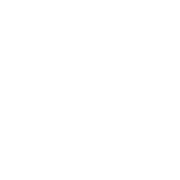 This is the restaurant logo for The Buena Viking
