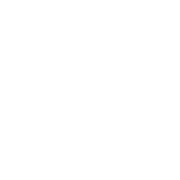 This is the restaurant logo for Vida Verde Kitchen