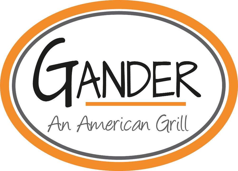 gander mountain grills